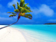 Luna di Miele romantica sulle spiagge della Polinesia - Perusia Viaggi
