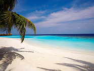 sposi-luna-di-miele-serena-ed-alex-maldive-perusia-viaggi