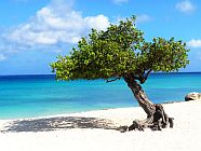 Aruba VIAGGIO DI NOZZE ARUBA E FLY AND DRIVE STATI UNITI PERUSIA VIAGGI