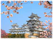 Giappone luna-di-miele-viaggio-di-nozze-giappone-polinesia-dubai-perusia-viaggi