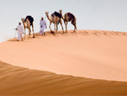 Abu Dhabi Abu Dabhi e Seychelles per la Luna di Miele di Laura e Ruggero organizzato da Perusia Viaggi