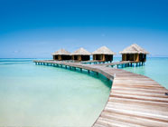 Maldive Bellissimo Viaggio di Nozza destinazione Bangkok e Maldive organizzata da Perusia Viaggi