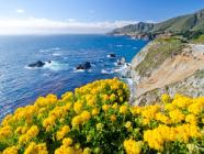 17 mile drive lista-di-nozze-luna-di-miele-erica-e-marco-usa-e-aruba-perusia-viaggi