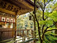 Giardino lista-di-nozze-luna-di-miele-alessandra-e-andrea-giappone-perusia-viaggi