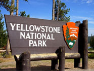 Yellowstone National Park Viaggio di nozze nei parchi dell'America dell'Ovest, Yellowstone - Perusia Viaggi