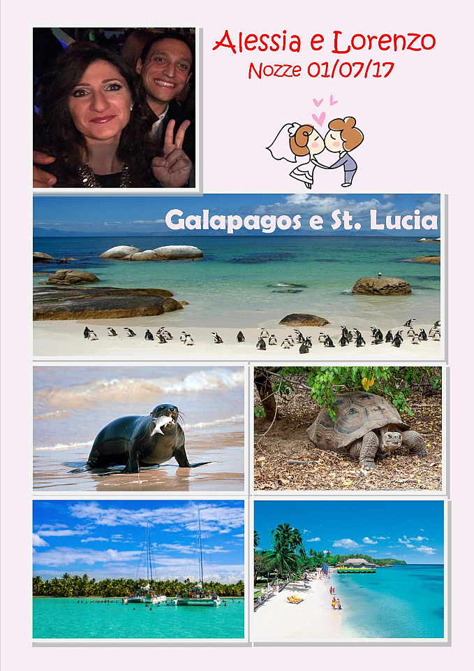 Isole Galapagos e St. Lucia - Cardellini-Screpanti viaggio-di-nozze-luna-di-miele-lista-dinozze-alessia-e-lorenzo-galapagos-e-caraibi-perusia-viaggi