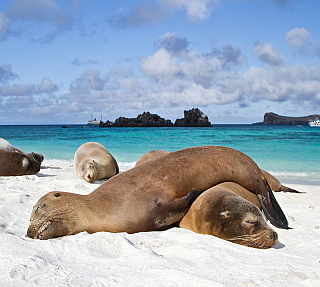 viaggi-di-nozze-luna-di-miele-alessia-e-lorenzo-galapagos-e st.-lucia-perusia-viaggi