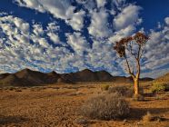 Sudafrica lista-di-nozze-viaggio-sud-africa-e-seychelles-beatrice-e-nicola-perusia-viaggi